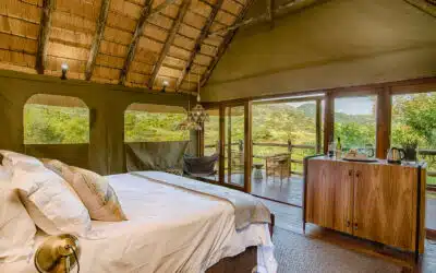 The Smart Way to Choose Accommodation in Mpumalanga for Any Length of Stay