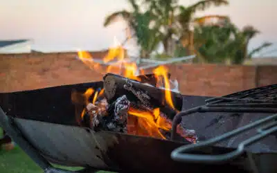 Business or Leisure? How to Choose the Right Accommodation in Tzaneen