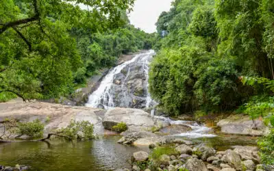How Self-Catering Accommodation in Tzaneen Makes Longer Stays More Comfortable